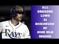 All Brandon Lowe 31 Homeruns || 2025 MLB Season Highlights