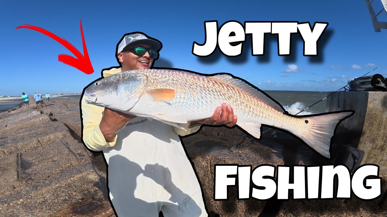 Ловите КРУПНУЮ рыбу с причала при сильном ветре и сильной волне!