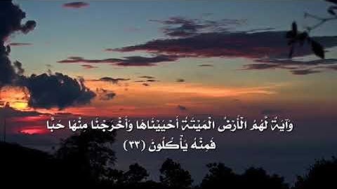 سورة يس بصوت هزاع البلوشي   صوت هادئ ومريح للنفس