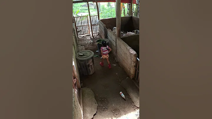 pig farmer #pigindustry #pig #pigfeed #farming101 #animals #hogger #farm #piggy #pigfarm