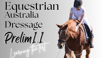 ⭐️ PRELIM 1.1 how to ride the EA dressage test #horse #equestrianjourney #dressage