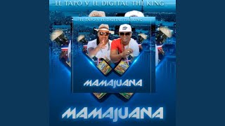 MAMAJUANA Dmd Ft Ray Hookah Mamajuana
