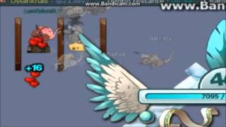 racing transformice