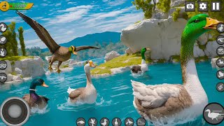 VIRTUAL DUCK SIMULATOR FAMILY ANDRIOD GAMEPLAY #3 screenshot 5