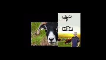 Precision Livestock Farming (PLF)