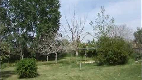 Blade 400 3D First Flight by George