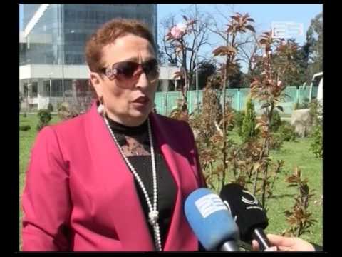 საკურას ხეივანი ვიცე მერმა დაათვალიერა