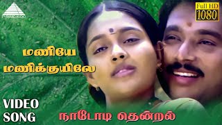 மணியே மணிக்குயிலே HD Video Song | நாடோடி தென்றல் | கார்த்திக் | ரஞ்சிதா | இளையராஜா