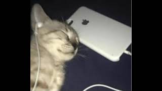overtonight- they'll post it online
