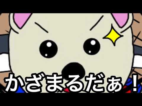 #1【自己紹介】かざまるの生態【お久しぶりです！】