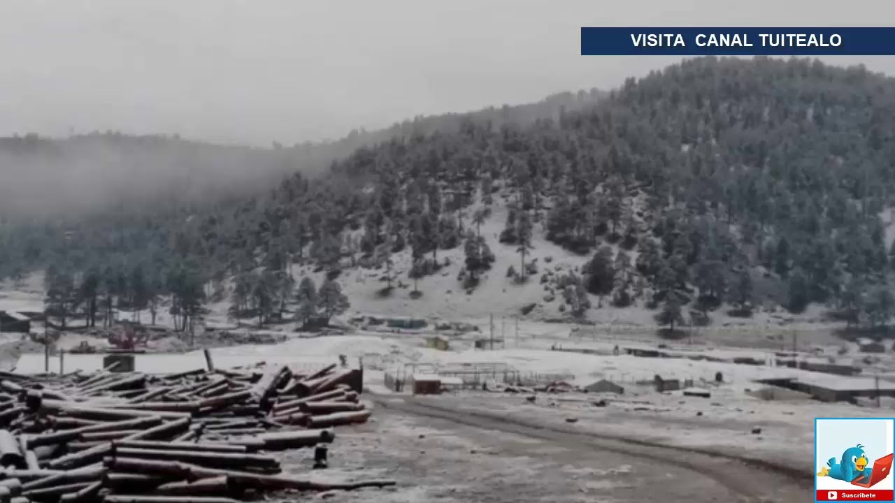 Se congela La Rosilla Durango; registra 9.5 grados YouTube Se congela La Rosilla Durango; registra 9.5 grados YouTube