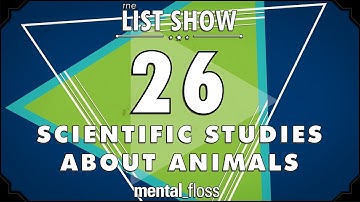 26 Scientific Studies about Animals  - mental_floss List Show Ep. 444 | Mental Floss