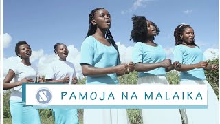 Pamoja na Malaika | Daily Daily Sing to Mary | Sauti Tamu Melodies | Nyimbo za Maria