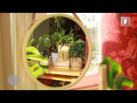 მოყვარული ფლორისტი ანი, რომლის სახლი უამრავი მცენარის თავშესაფარია