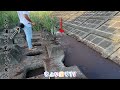 誰も釣りをしない土手下の水溜りにエサを落とし入れると…