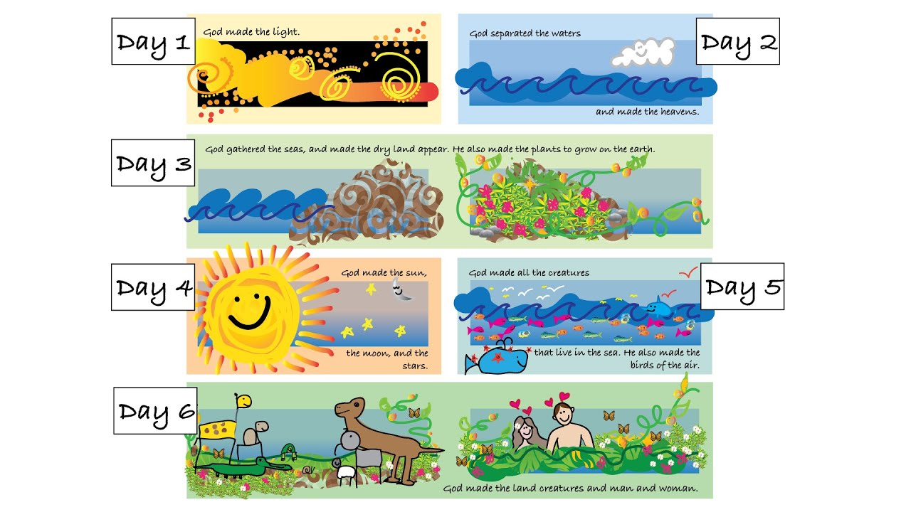 Days Of Creation Chart For Kids