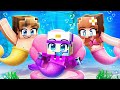 Adopting MERMAID DASH In Minecraft Adopting MERMAID DASH In Minecraft