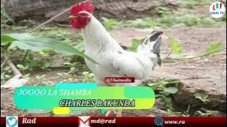 jogoo la shamba Charles bukanda ft gonzaga masaga