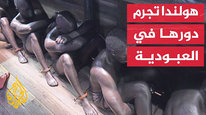 رئيس الوزراء الهولندي يعتذر عن دور هولندا في العبودية.. هل يكفي الاعتذار؟