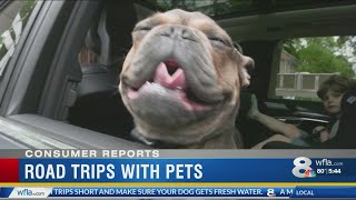Consumer Reports: Easy road tripping with your dog