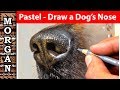 Pastel pencils how to draw a dogs nose