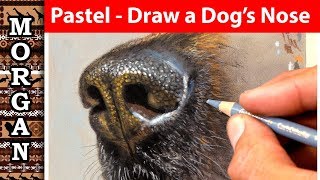 ... - pastel pencil dog tutorial
**************************************** patreon art channel (lots of
other videos too