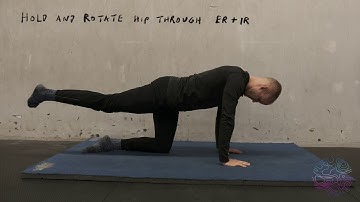 Quadruped Hip Extension Axial Rotations