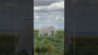 🐘 Real-Time Elephant Detection with AI | Computer Vision Magic! #Shorts #shorts