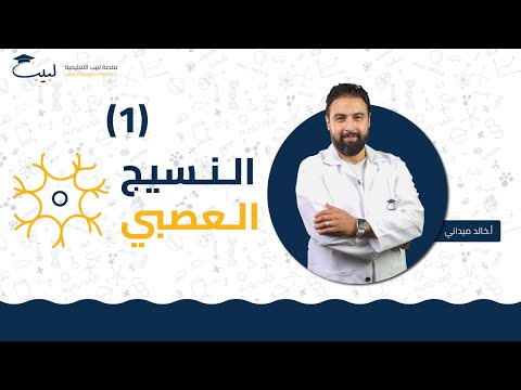 النسيج العصبي 1 البكالوريا العلمي أ خالد ميداني منصة لبيب التعليمية 
