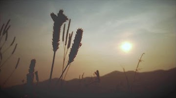 تلاوة طيبة ترقق القلب