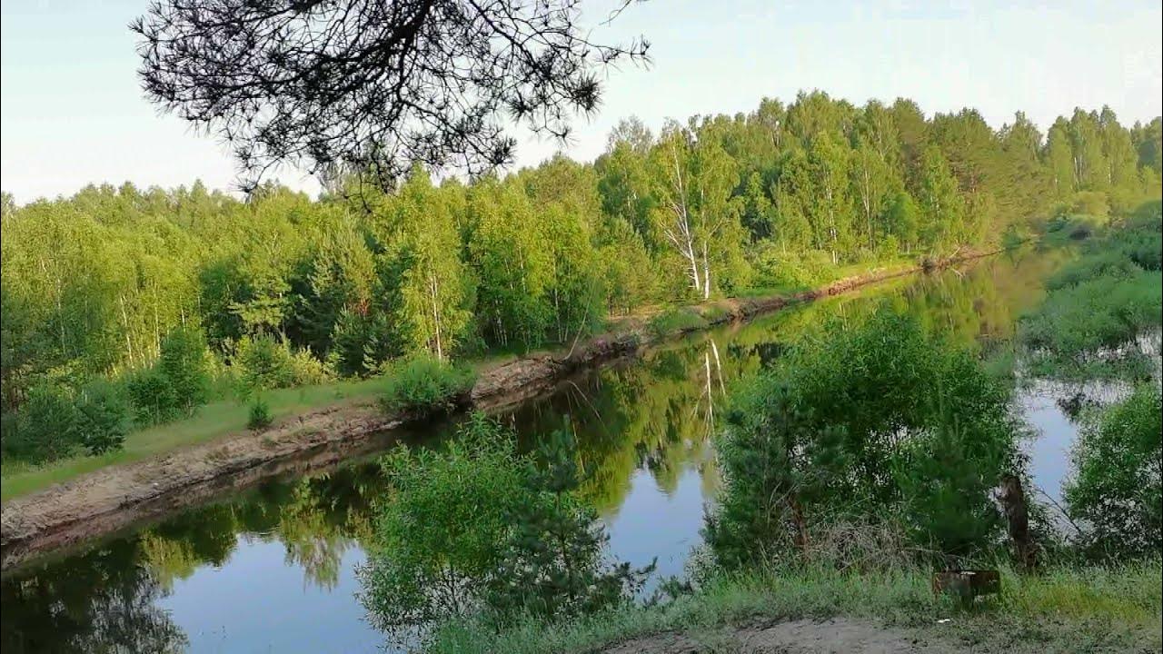 Сплав по реке пра Рязанская область
