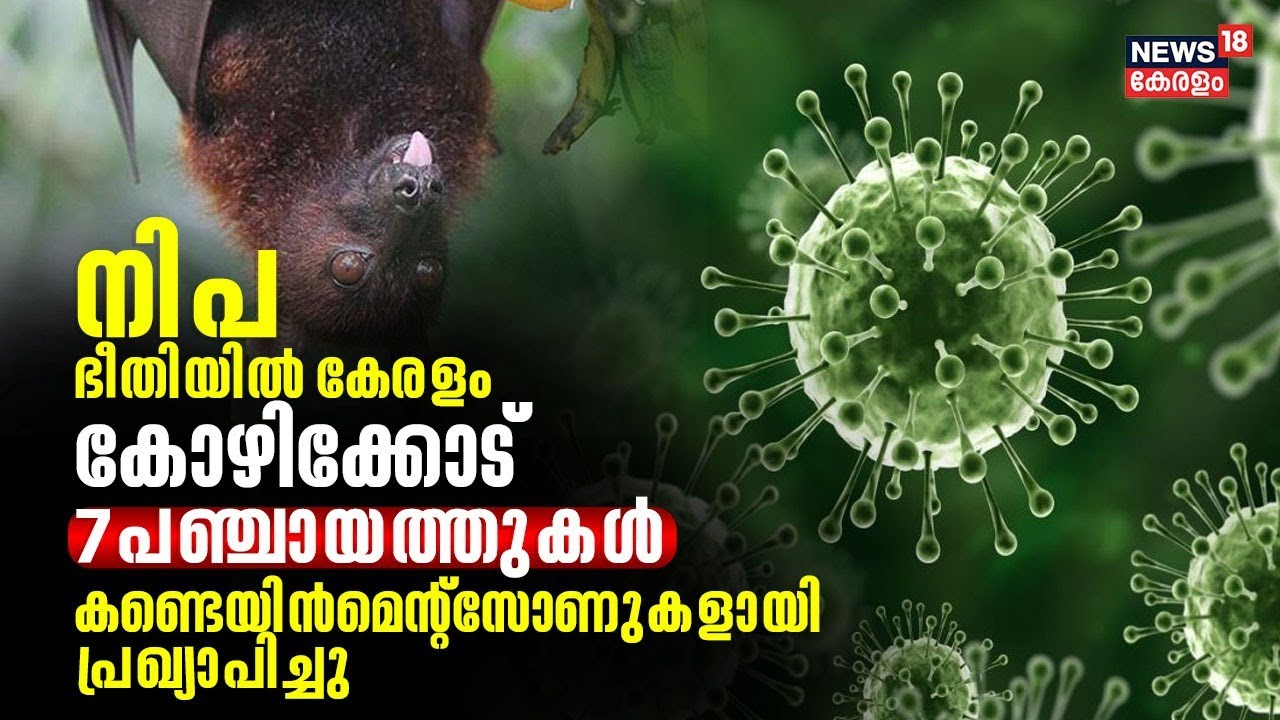 Nipah Virus | നിപ ഭീതിയിൽ Kozhikode; 7 പഞ്ചായത്തുകളിൽ Containment Zone ആയി പ്രഖ്യാപിച്ചു