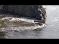 Reversing Falls   St  John, NB, Bay of Fundy