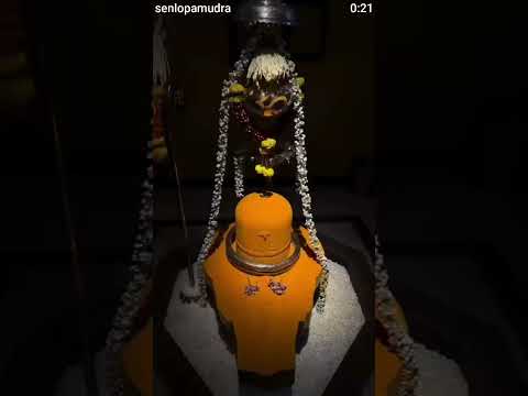 हर हर महादेव 🙏❤️🔱 #foryou #bhaktivibes #trending #ytshorts #shorts #shortsfeed #shiv महाकाल