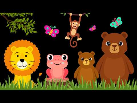 Baby Sensory Video – Newborn Visual Stimulation – Sensory Videos for Babies - Tummy Time #baby