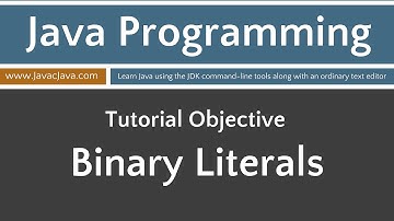 Learn Java Programming - Binary Literals