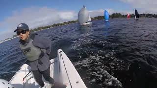 Race 2 + dolphins - RPYC Saturday Training 29/07