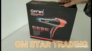 GEMEI GM 1766 PROFESSIONAL HAIR DRYER WITH AC MOTOR