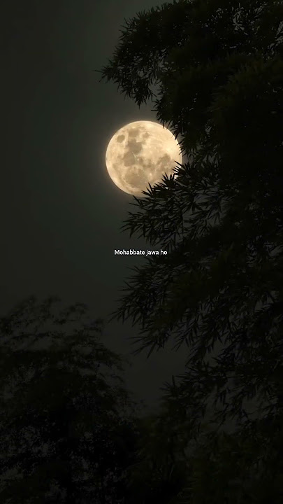 #song #aestheic #love #automobile #music #bollywood #lyrics #audioisnotmy