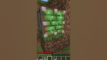 Minecraft Amazing Duplication Carpet Hack 1.16    #shorts