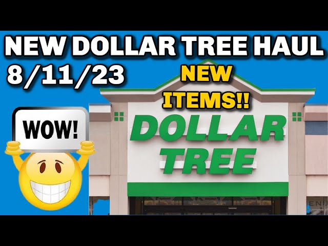 NEW DOLLAR TREE HAUL 🤑 1/6/23. SO MANY NEW ITEMS 