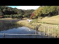 一度だけなら 野村将希   by take