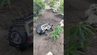JXC Toyota Land Cruiser LC80 rc Solo adventure in the bonsai garden #landcruisers #toys #rc #Asia