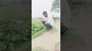 i am coming # nxr rahul vlogs