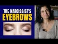 What's up with the narcissist's eyebrows?