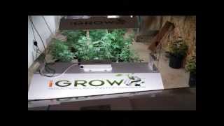 iGROW Induction Lights - Veg Slideshow