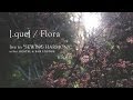 Flora /[.que] live at Nui. HOSTEL & BAR LOUNGE 2014.4.13 (sun)