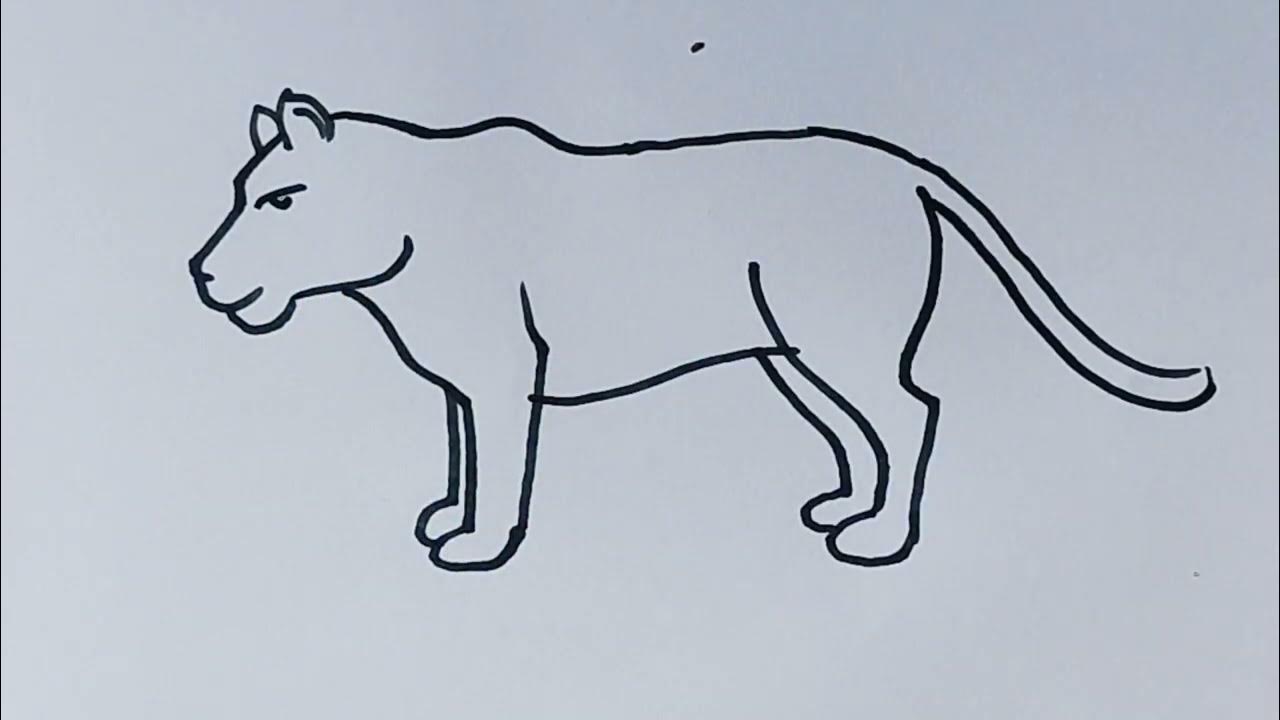 How to draw a Lion 🦁 /Female lion drawing easy step by step / animal