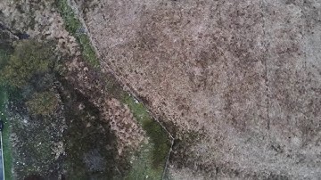 Parrot Anafi Follow me mode FreeFlight 6 v6.2.1