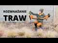 Jak i kiedy rozmnażać TRAWY OZDOBNE ? Rozmnażanie traw ozdobnych